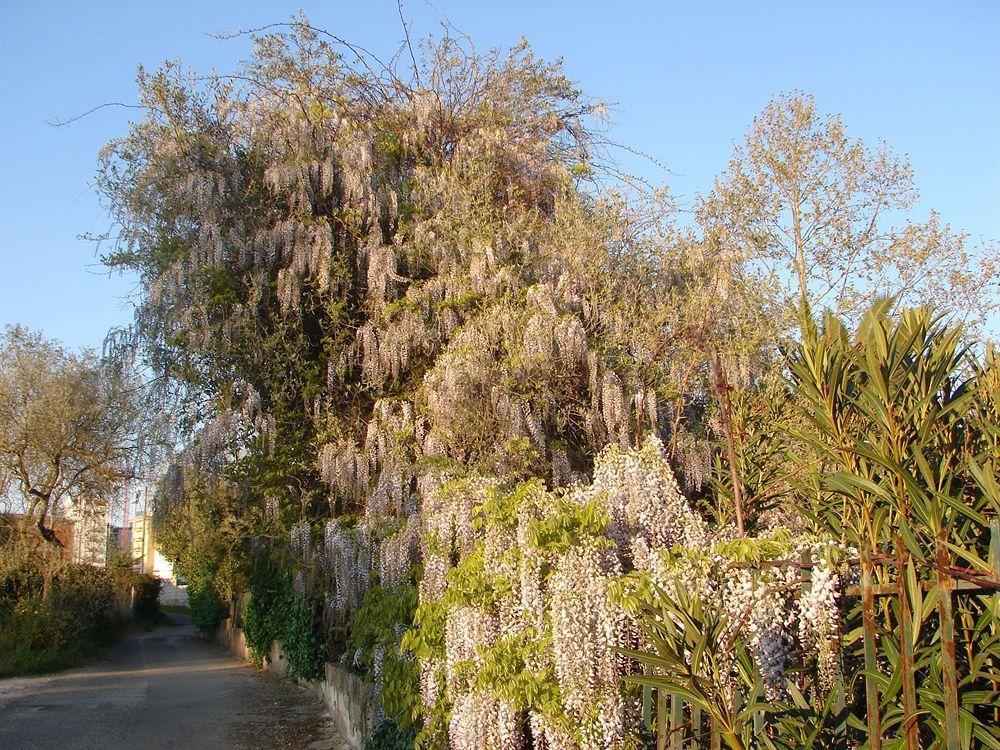 Parco Delle Valli Сасари Екстериор снимка